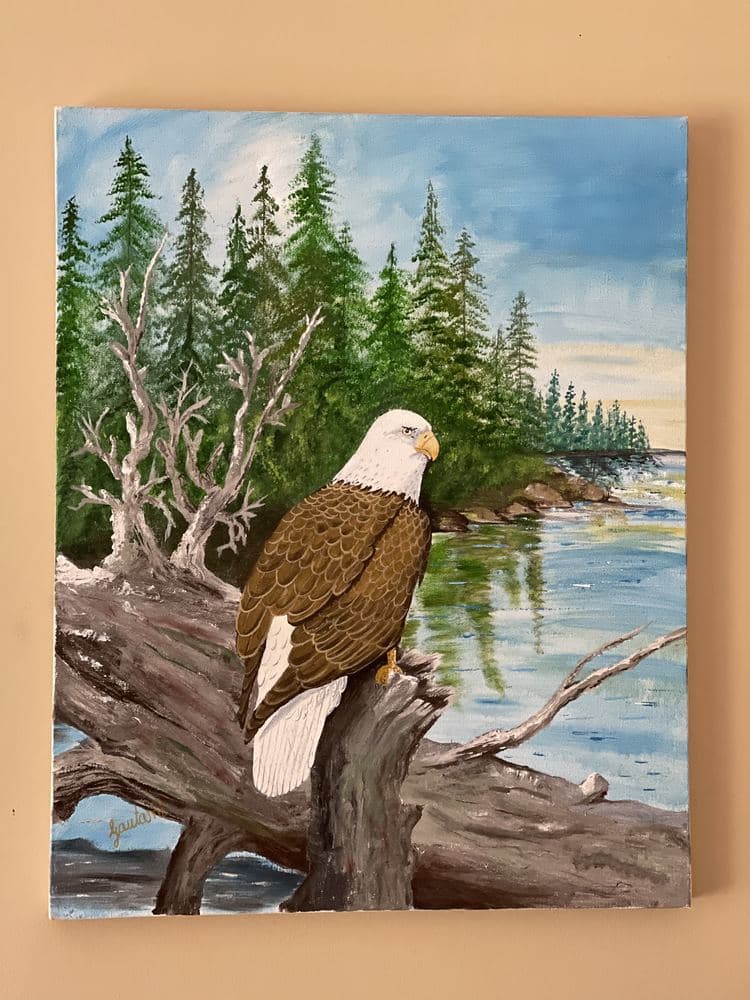 Bald Eagle Overlook